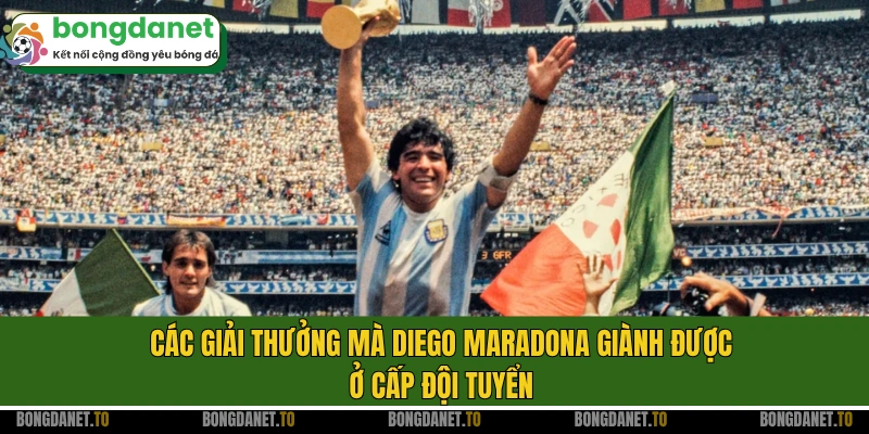 Các giải thưởng mà Diego Maradona giành được ở cấp đội tuyển