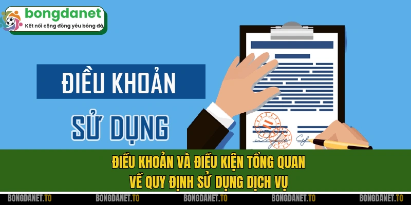 Điều khoản và điều kiện tổng quan về quy định sử dụng dịch vụ