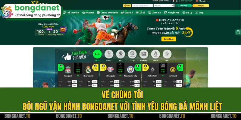 Về chúng tôi - đội ngũ vận hành Bongdanet với tình yêu bóng đá mãnh liệt