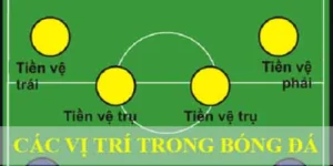 các vị trí bóng đa